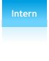 Intern