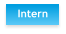 Intern