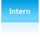 Intern