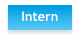 Intern