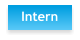Intern