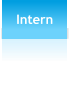 Intern
