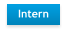Intern