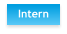 Intern