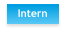 Intern