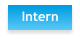 Intern