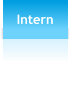 Intern